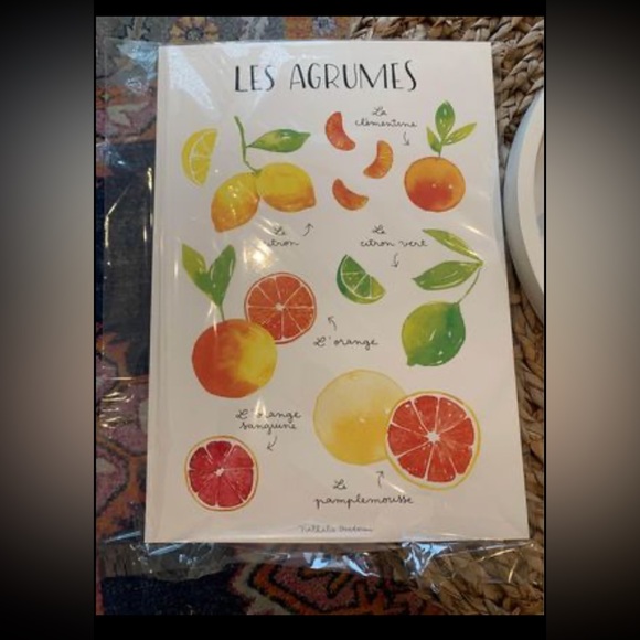 Citrus Fruit Print - Picture 2 of 2